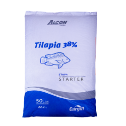 Tilapia 38%