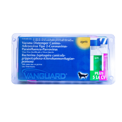 Vanguard Plus 5 CV/4L (Sextuple)