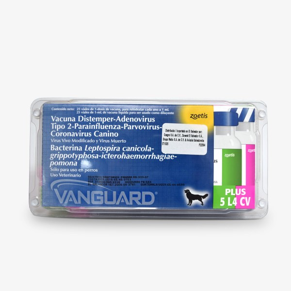 Vanguard Plus 5CV/L4 (Sextuple)