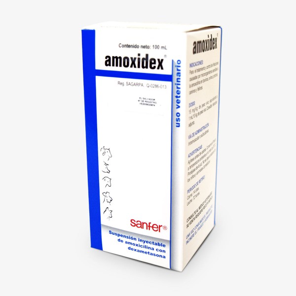Amoxidex