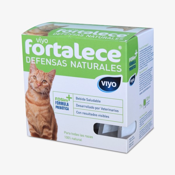 Viyo Fortalece Gato